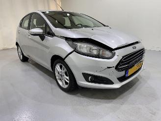 damaged bicycles Ford Fiesta 5-Drs 1.0 EcoBoost Titanium 2015/5